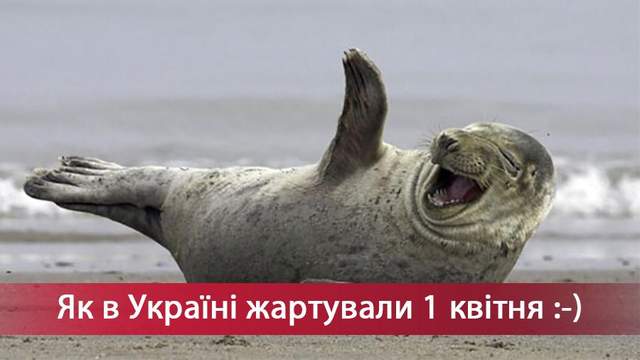  ���� ���� ���� ��� ���� ���� ��� ������� 
