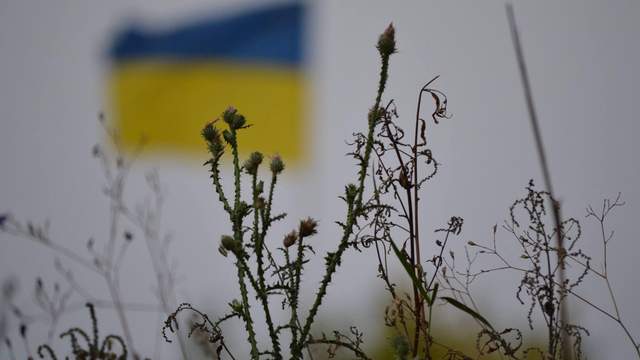 Фото: 24tv.ua