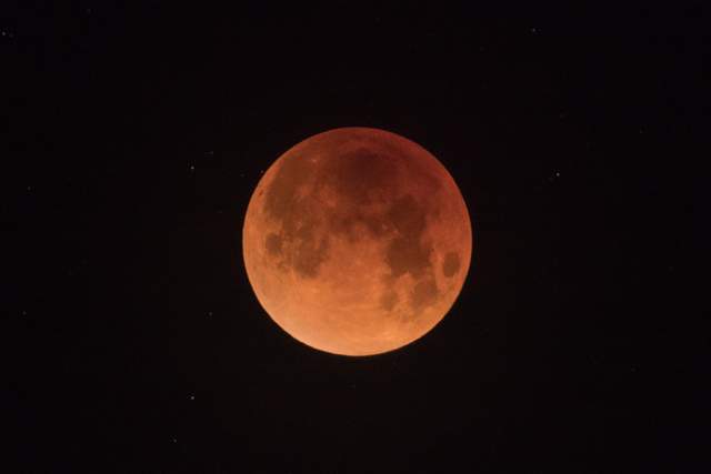 ����: 24tv.ua