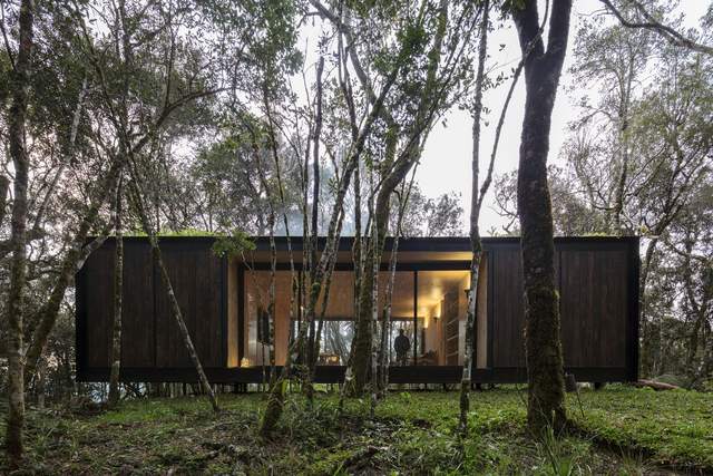  ���� archdaily �������� ����� ����� 