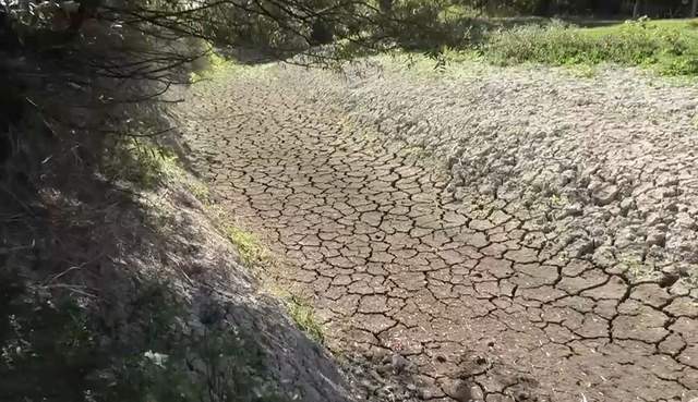  ���� �������� ������ ������� ����������� �������� ���� 