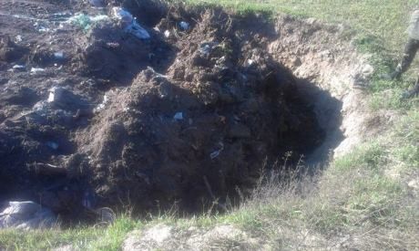 Возле Киева нашли десятки подозрительных безымянных могил [Фото]
