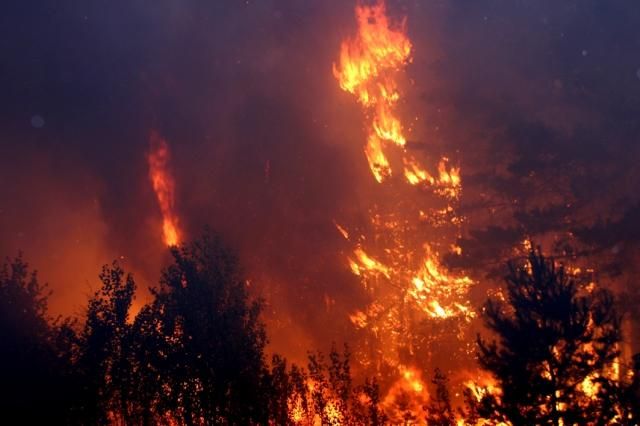 В Днепропетровской и Полтавской областях горело около 60 гектаров леса [Фото]