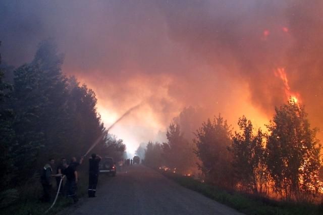 В Днепропетровской и Полтавской областях горело около 60 гектаров леса [Фото]
