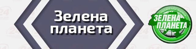 Национальные дебаты. ТОП-цитаты 13 октября