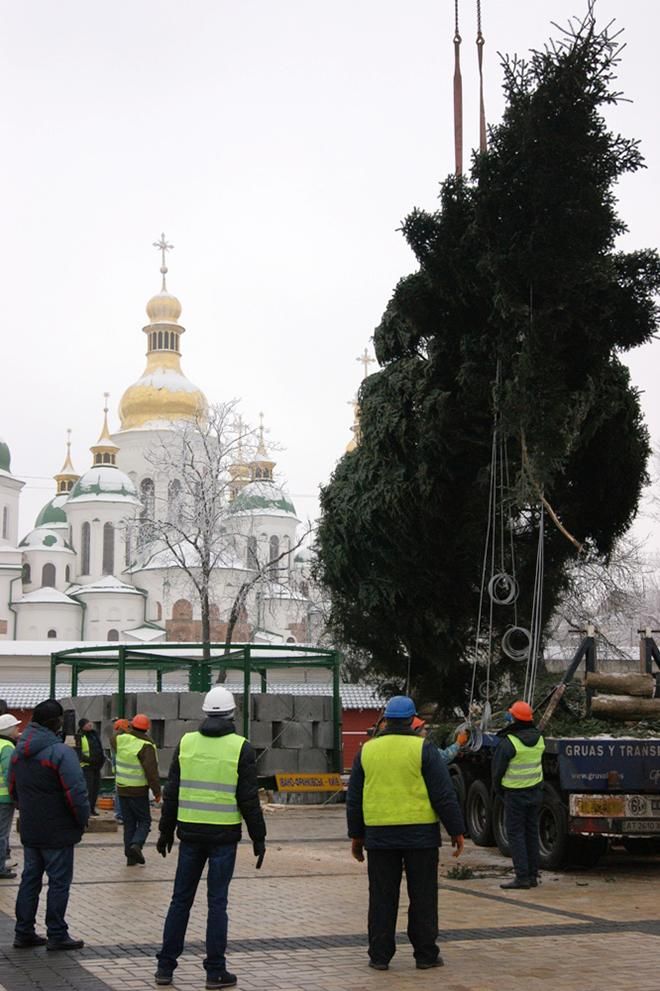 В Киеве установили главную елку [Фото]