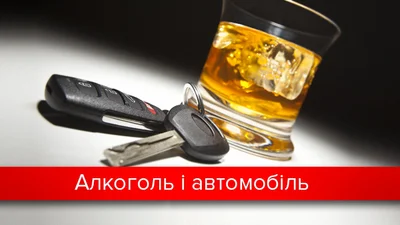 Выпил – вызывай такси: допустимое содержание алкоголя для водителей в разных странах