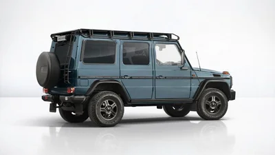 Митники не пропустили Mercedes-Benz G-Class за заниженою ціною