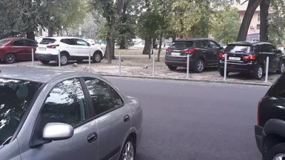 Коммунальщики из Днепра жестко наказали "героев парковки"