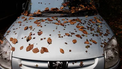 Що слід зробити з машиною у вересні