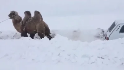Видео: что делать, если машина застряла, а трактора нету
