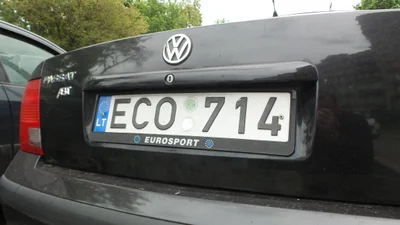 Лідери легалізації: які автомобілі розмитнюють українці