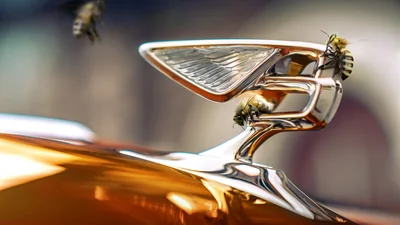 Bentley будет выпускать мед