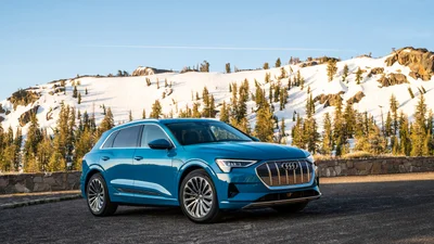 Audi оголосила ціни на батарейний кросовер e-tron 50