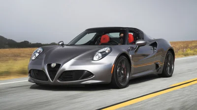 Alfa Romeo начала решать свои финансовые проблемы с отказа от выпуска спорткара 4C