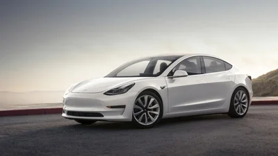 Активисты остановили строительство завода Tesla в Германии