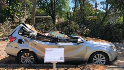 Дерево упало на автомобиль и сделало его памятником
