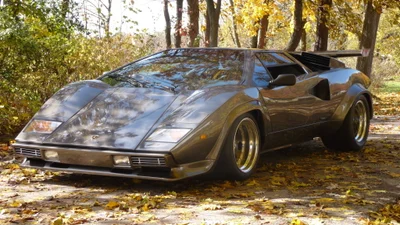 Чоловік 17 років будував репліку Lamborghini Countach