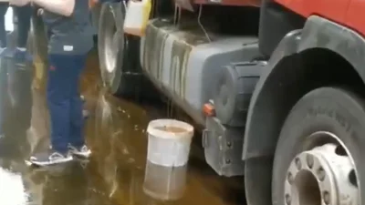 В Армении из грузовика вытек мед