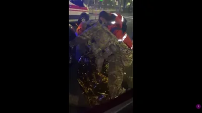 Кортеж Зеленского попал в ДТП: видео автомобиля и пострадавшего