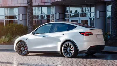 Tesla выпустит бюджетную версию модели Y