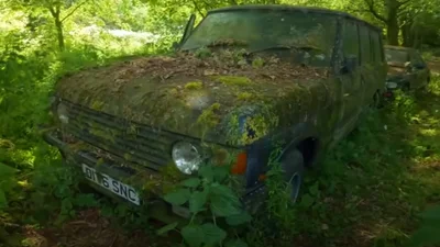 Новый Range Rover много лет простоял под деревом - Авто24