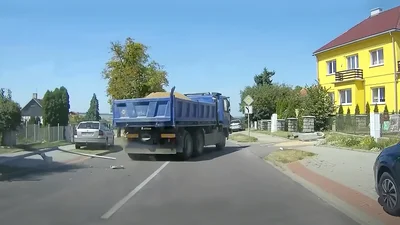 Укус насекомого мгновенно парализовал водителя самосвала на оживленной улице: видео - Auto24