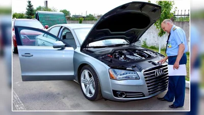 Статистика ввоза автомобилей через Закарпатскую таможню - Auto24