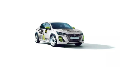 Stellantis показав ралійний Peugeot 208 Racing: фото - Auto24