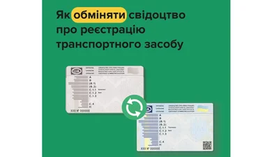 Нужно ли менять водительские документы после смены фамилии - Auto24