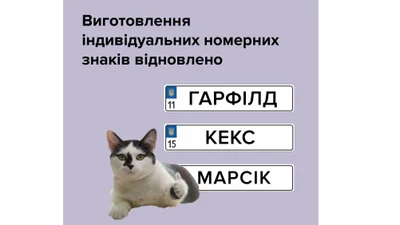 Индивидуальные номера снова доступны для заказа - Auto24