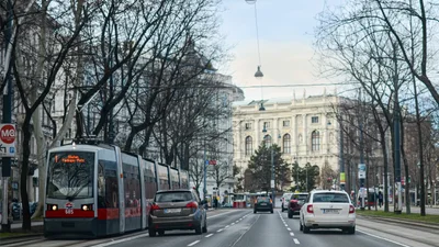 В Вене владельцы авто сдадут на три месяца номерные знаки - Auto24