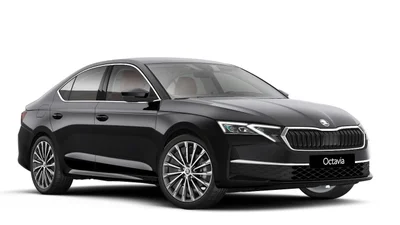 На честь свого 130-річчя Škoda в Україні оголошує знижки - Auto24