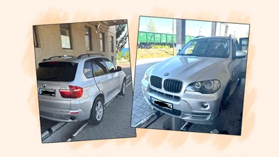 Тайник в BMW X5 был надежным, но Дана носом услышала спрятанное - Auto24