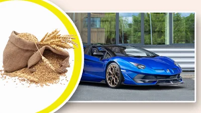 Зернова афера на маже 29 мільйонів доларів дозволила придбати елітну Lamborghin