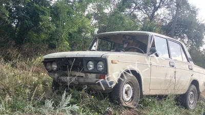 П'яний водій після ДТП хотів перекласти вину на свого пса й посадив його за кермо