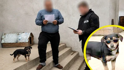 Який вирок в Одесі отримав власних мережі АЗС на колесах