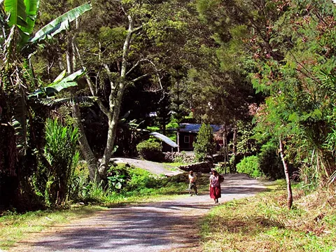 Папуа Папуа