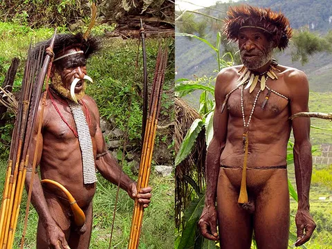 Котека Котека