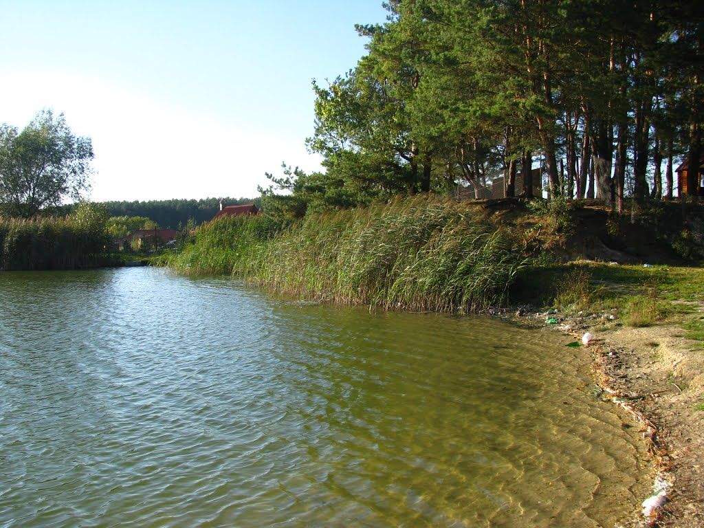 какое море во львове