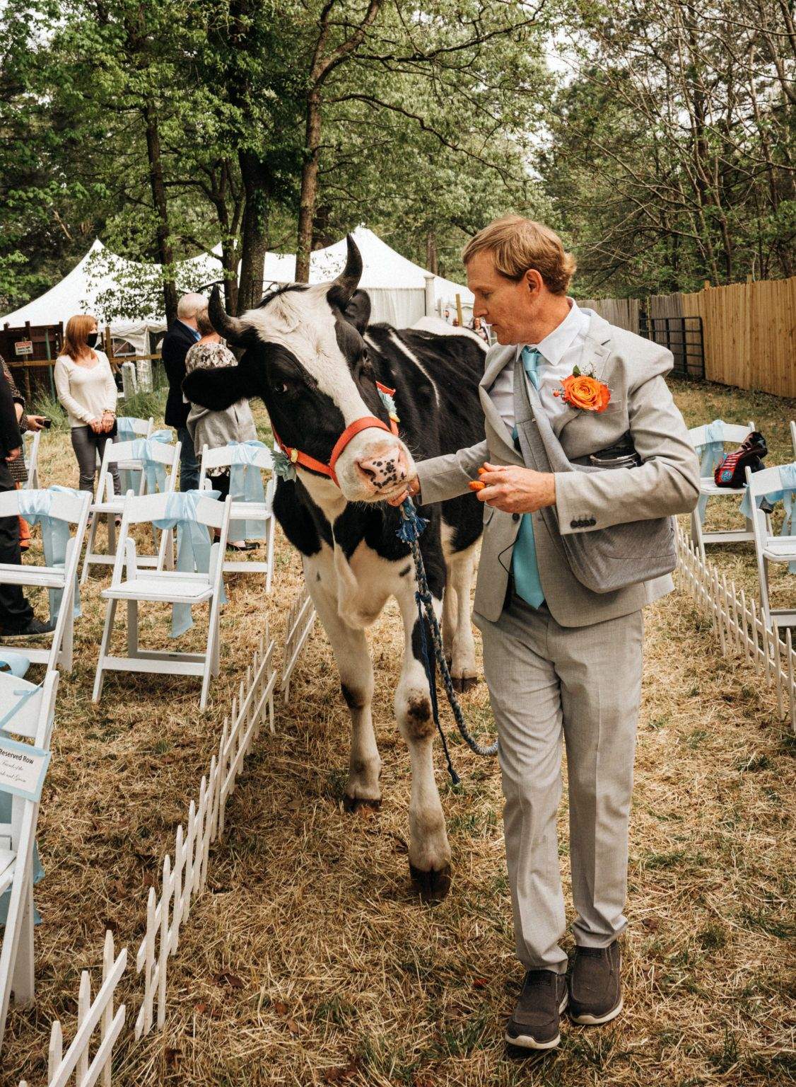 Закохані запросили своїх тварин на власне весілля