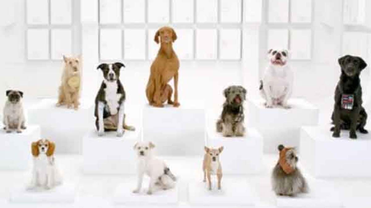 В рекламі Volkswagen собаки виконують марш з "Зоряних воєн" (Фото, Відео)