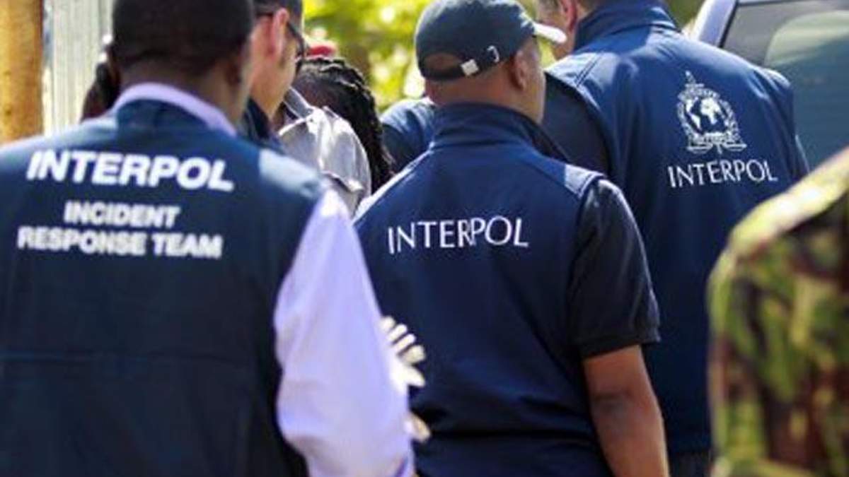 Інтерпол направить до України фахівців для допомоги у розслідуванні авіакатастрофи "Boeing" 