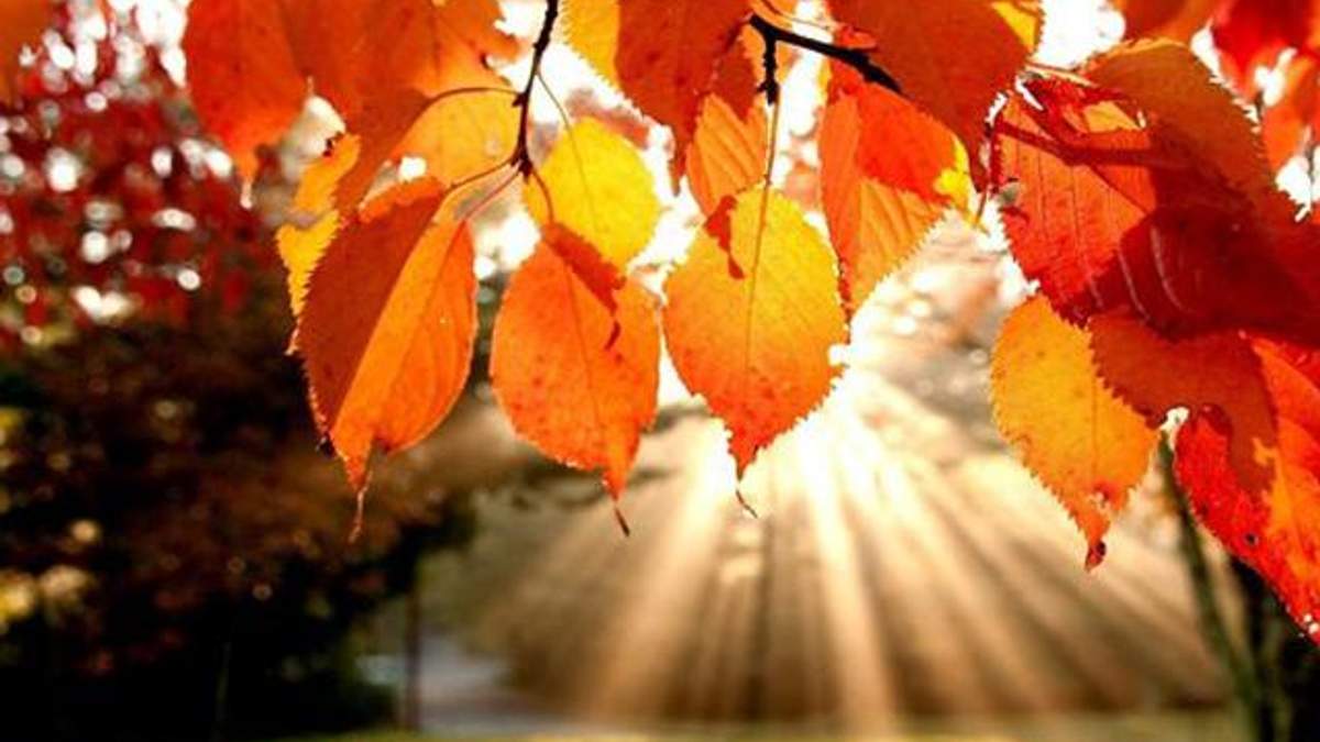 Сьогодні в Україну прийде бабине літо