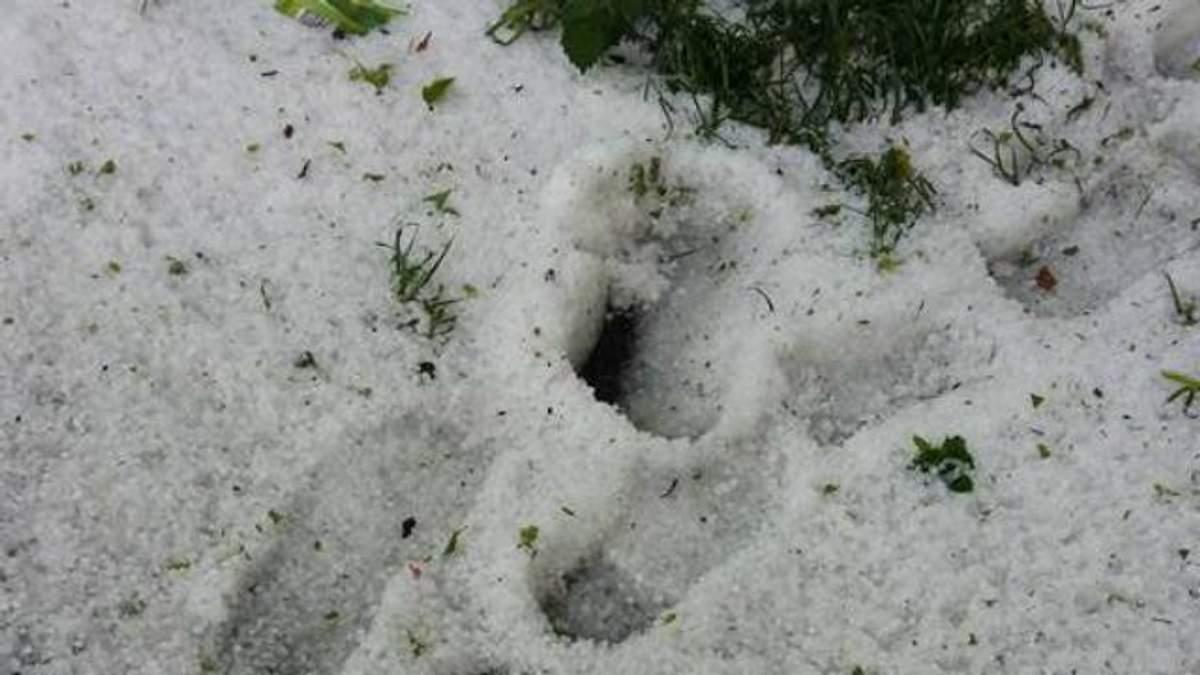 Літо у Луцьку: місто засипало сніжним градом