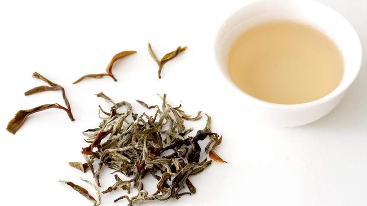 Чому корисно пити білий чай: переконливі аргументи - Здоровʼя 24