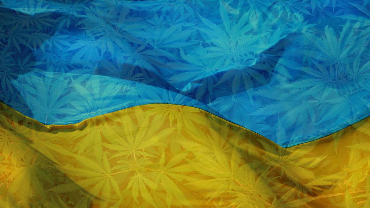 Легализация марихуаны в Украине: мнение кандидата в президенты Садового