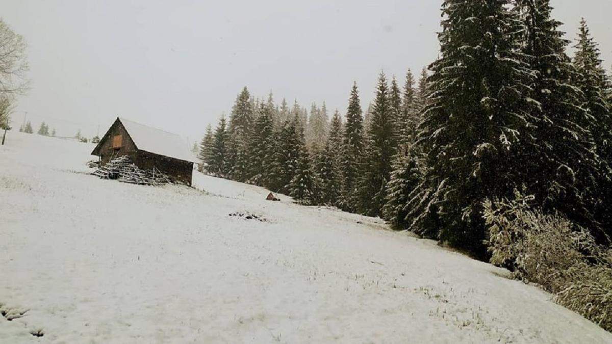 Карпати засипає снігом: яскраві фото та відео