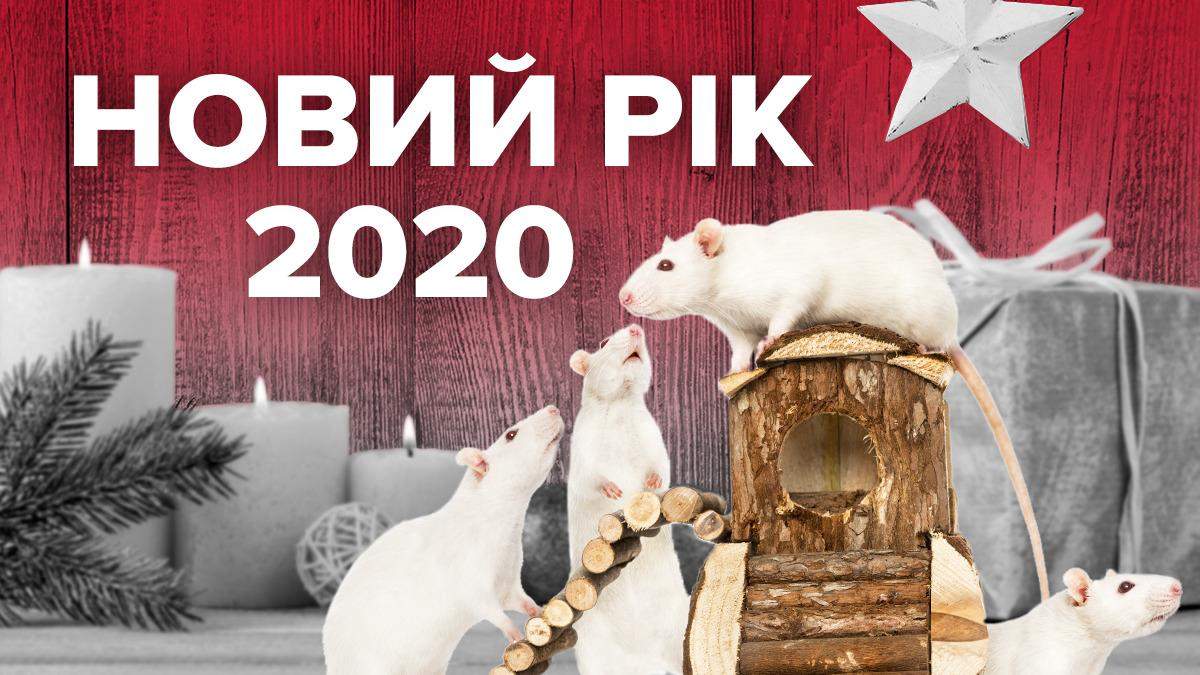 2020 God Kogo Po Vostochnomu Kalendaryu V Chem Vstrechat Novyj God 2020