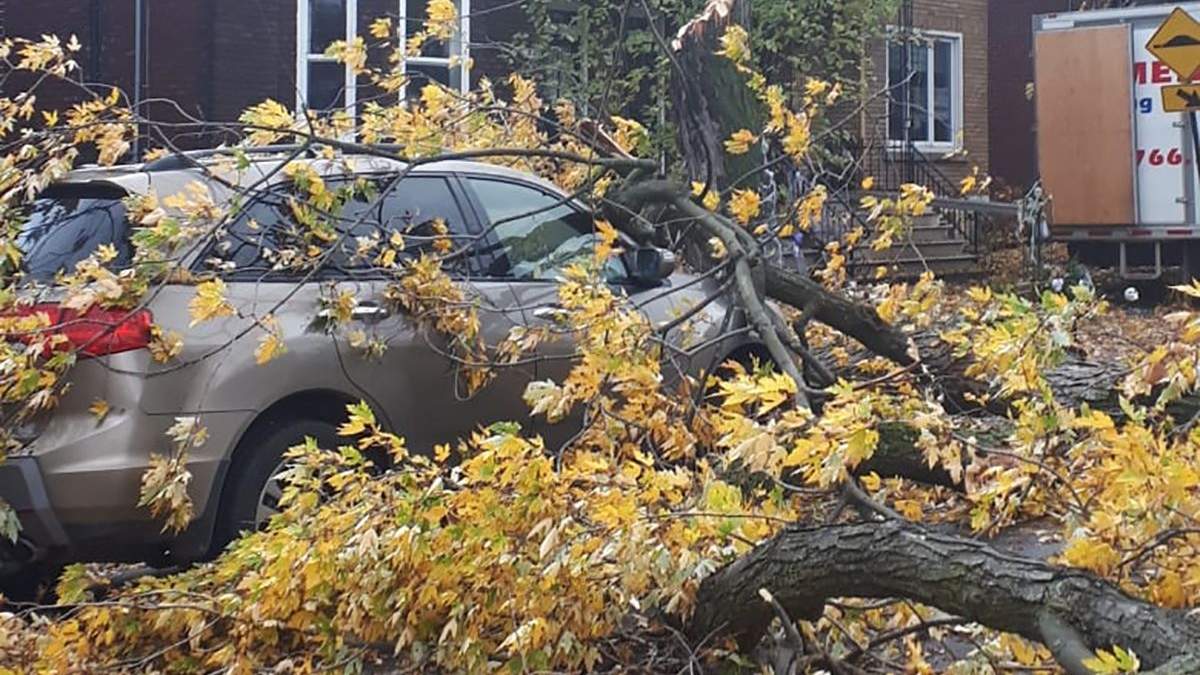 Поваленные деревья, дома и первые жертвы: фото, видео урагана в Канаде